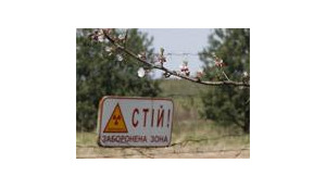В Зоне отчуждения ЧАЭС высадят 200 гектар молодого леса