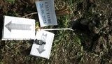 Войска РФ используют на Донбассе просроченные российские боеприпасы, - СЦКК. ФОТОрепортаж