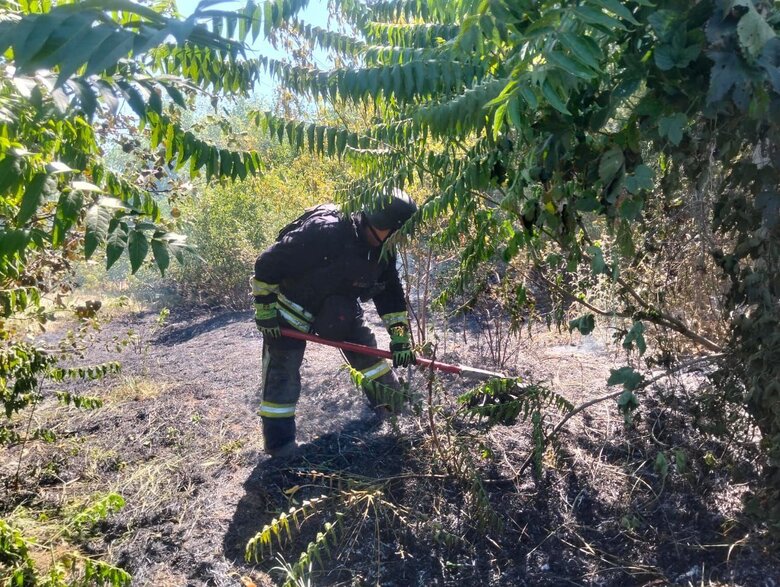 Russian shelling of the Nikopol district on 31 July
