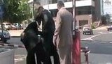 Журналист "чистосердечно" сознался в подготовке покушения на донецкого губернатора. + ВИДЕО.