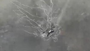 "Net-shooter" drone catches Russian Mavic 3. VIDEO