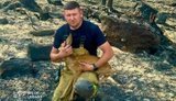 Українські рятувальники врятували обпечене козуленя під час гасіння масштабної пожежі у Франції, - ДСНС. ВІДЕО+ФОТОрепортаж