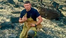 Українські рятувальники врятували обпечене козуленя під час гасіння масштабної пожежі у Франції, - ДСНС. ВІДЕО+ФОТОрепортаж