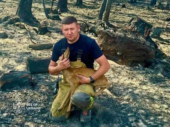 Українські надзвичайники врятували козуленя під час пожежі у Франції