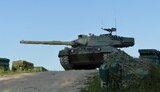 1a5,leopard