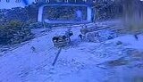 дрон заходить на ціль