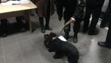 одесса
