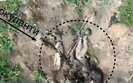 пдв,25опдбр
