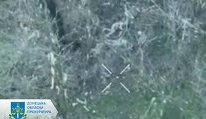 Лубінець звернувся до ООН та МКЧХ щодо розстрілу росіянами беззбройного українського військового у Волноваському районі