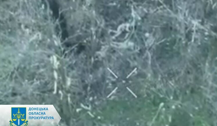 Лубінець звернувся до ООН та МКЧХ щодо розстрілу росіянами беззбройного українського військового у Волноваському районі