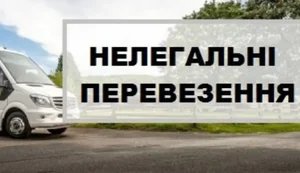 нелегальные,перевозки
