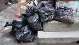 Два мішки з тілами вбитих собак знайшли на Сумщині, поліція почала кримінальне провадження