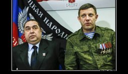 Жест доброй воли