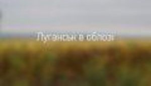 "Осколками от снарядов усеяно все поле. Повсюду видны воронки", - как украинская армия удерживает границу с РФ близ Луганска. ВИДЕО