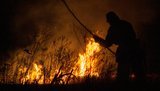 У ДСНС попередили про надзвичайний рівень пожежної небезпеки в низці областей України