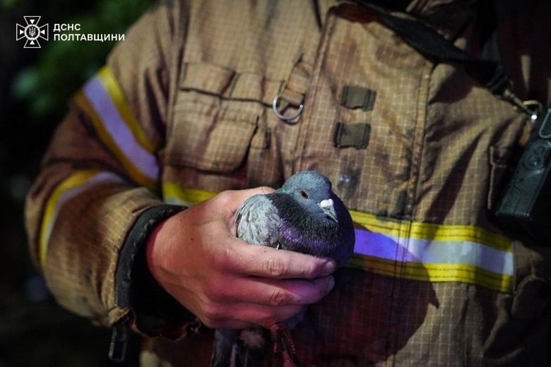 У Полтаві ліквідували пожежу в адмінбудівлі після нічного удару РФ