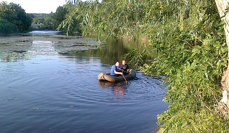 В Украине проведут инвентаризацию водных и лесных ресурсов, – Минрегион