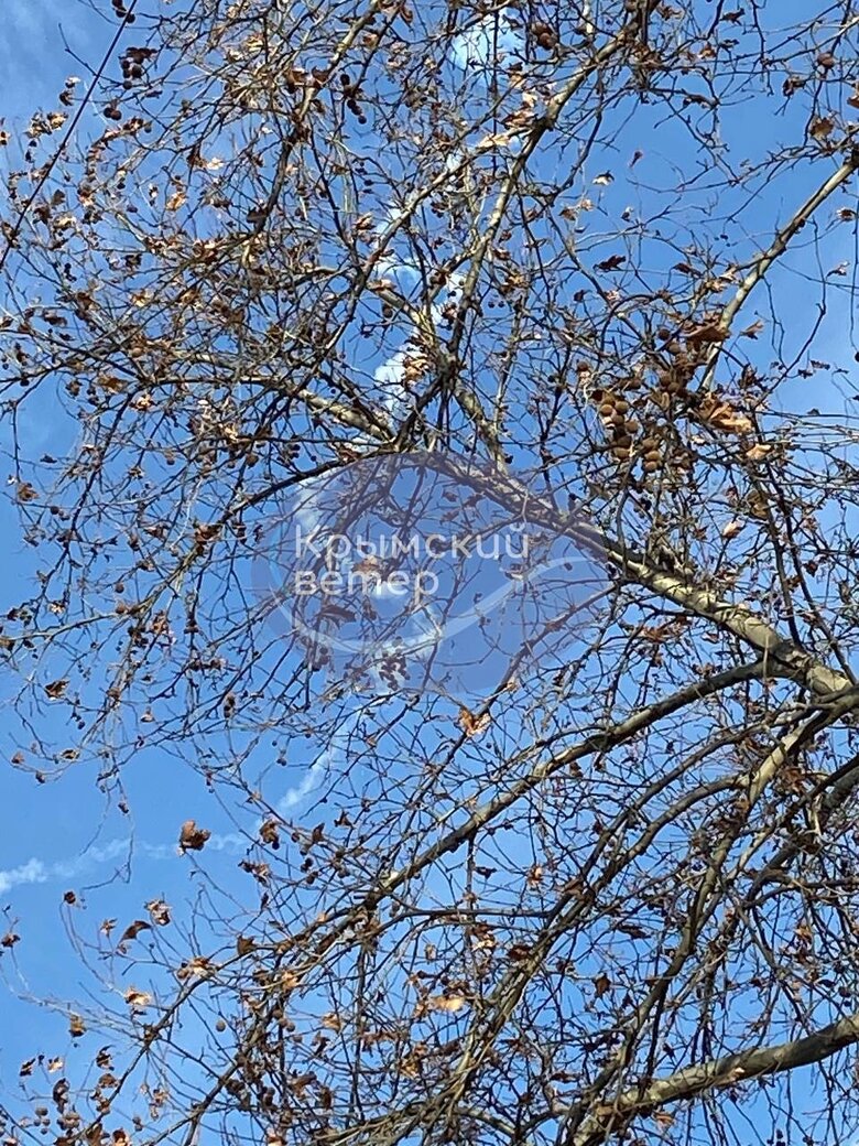 В окупованому Криму знову лунають вибухи, - соцмережі 01