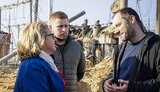 свенья,шульце