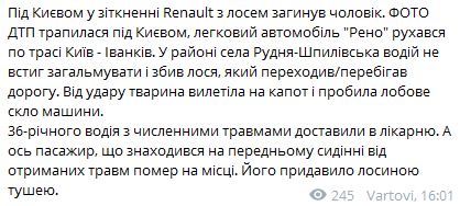 Рено сбил лося под Киевом: животное насмерть придавило пассажира 02