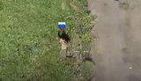 окупант здається у полон