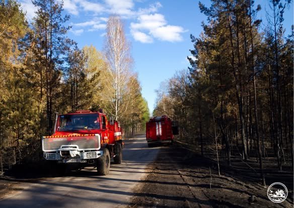 У Чорнобильській зоні локалізували всі осередки пожеж