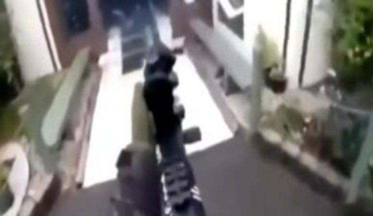 Теракт в Новой Зеландии: число жертв увеличилось до 49 человек. ВИДЕО 18+