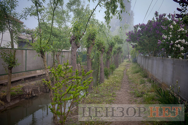 Тихі канали, швидка річка і дунайський оселедець - весна і осінь у Вилковому 02 Тихі канали, швидка річка і дунайський оселедець - весна і осінь у Вилковому 02