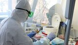 Ukraine to modify PCR tests due to new Covid-19 strain, - official