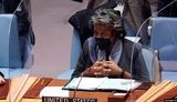США продолжают попытки отвлечь Россию от нападения на Украину, - представитель США в ООН Томас-Гринфилд