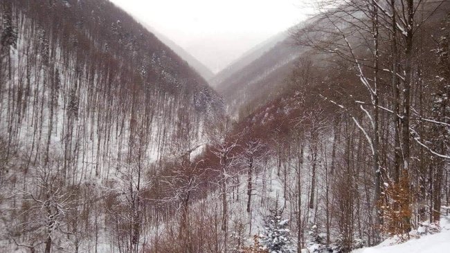 Возобновлены поиски туриста, пропавшего в горах на Закарпатье, - ГСЧС 02