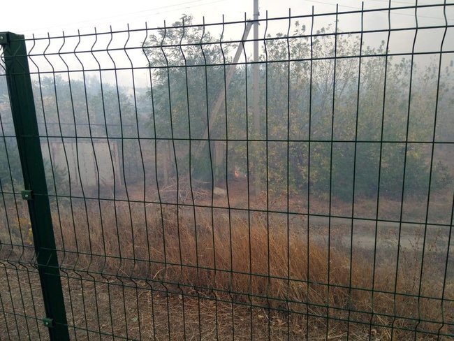 Пожежі на Луганщині: вогонь перекинувся на КПВВ Станиця Луганська, чути вибухи боєприпасів 03 Пожежі на Луганщині: вогонь перекинувся на КПВВ Станиця Луганська, чути вибухи боєприпасів 03