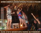 Их можно сразу заметить