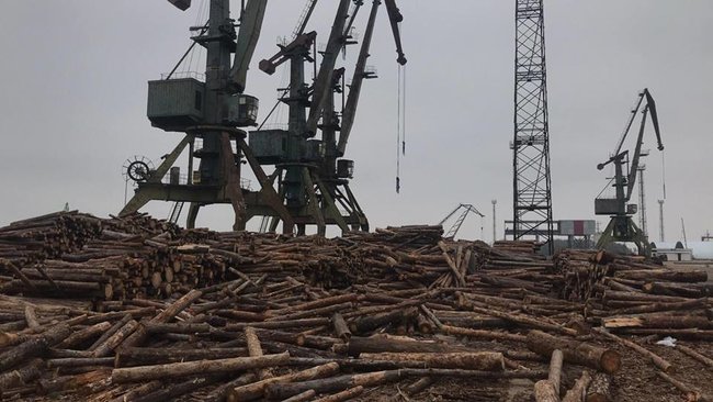 Контрабанда леса идет из порта Рени под видом дров,- Мосийчук 01 Контрабанда леса идет из порта Рени под видом дров,- Мосийчук 01