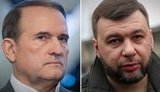 Медведчук поздравляет главаря ОРДО Пушилина: "Дай нам бог побольше побед". АУДИО