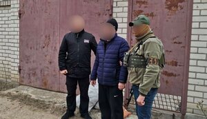 колаборант