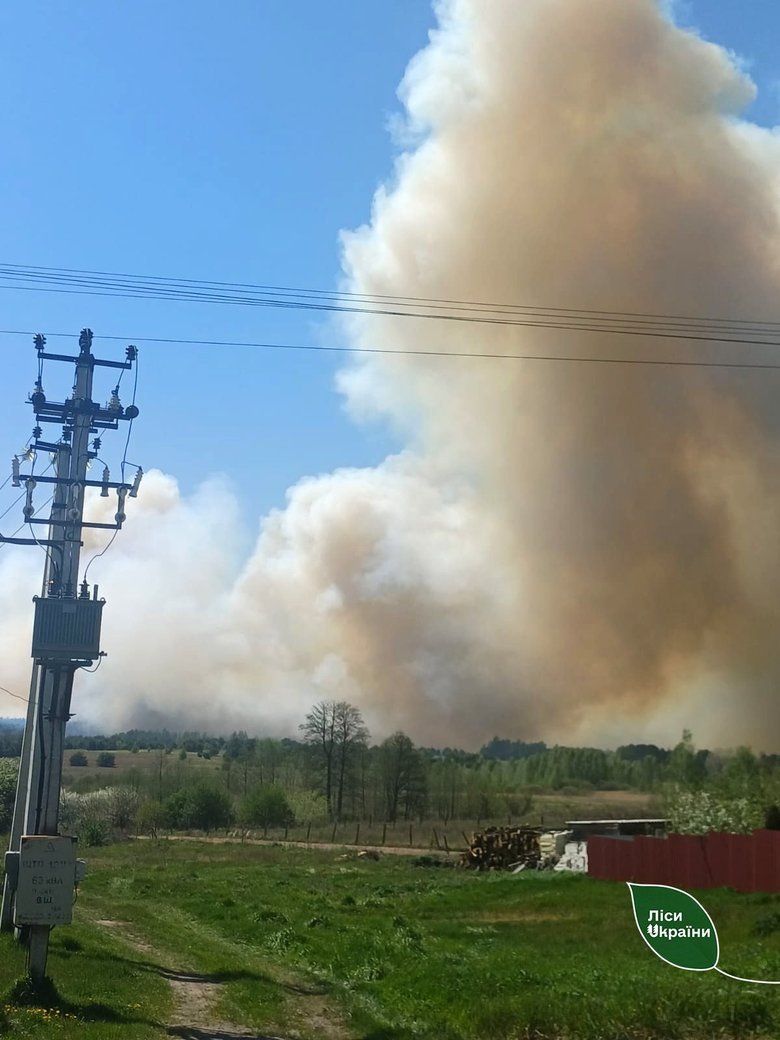 Ворожа диверсія спричинила масштабну пожежу в Шевченківському лісництві на Київщині