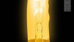 Лампочка Путина