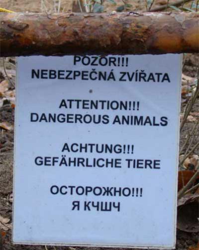 россия перевод английский