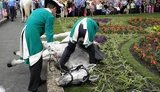 В Одессе на открытии памятника Суворову от голода упала лошадь. ФОТОрепортаж+Видео