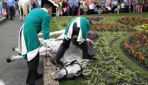 В Одессе на открытии памятника Суворову от голода упала лошадь. ФОТОрепортаж+Видео
