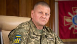 залужний