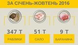 улитки