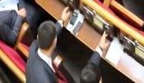 кнопкодавы