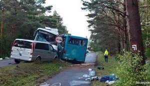 Две украинки пострадали в Польше в ДТП с участием двух автобусов и микроавтобуса, - МИД