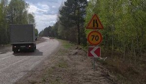 дорога,житомирщина