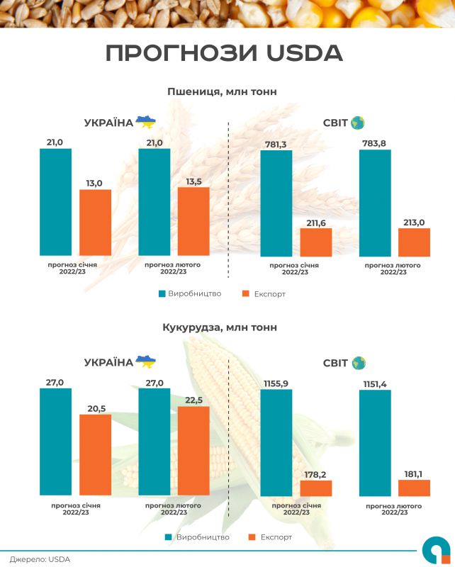 США збільшили прогноз експорту української пшениці та кукурудзи 01