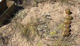 Прикордонники виявили схованку з гранатами і боєприпасами на Луганщині. ВІДЕО+ФОТОрепортаж