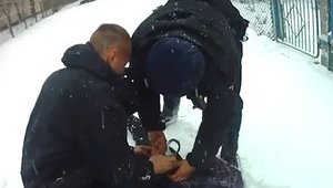 Housebreakers detained in Rivne after police fire warning shots. VIDEO
