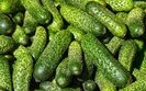 Ціни на огірки в Україні зростають вже другий тиждень поспіль